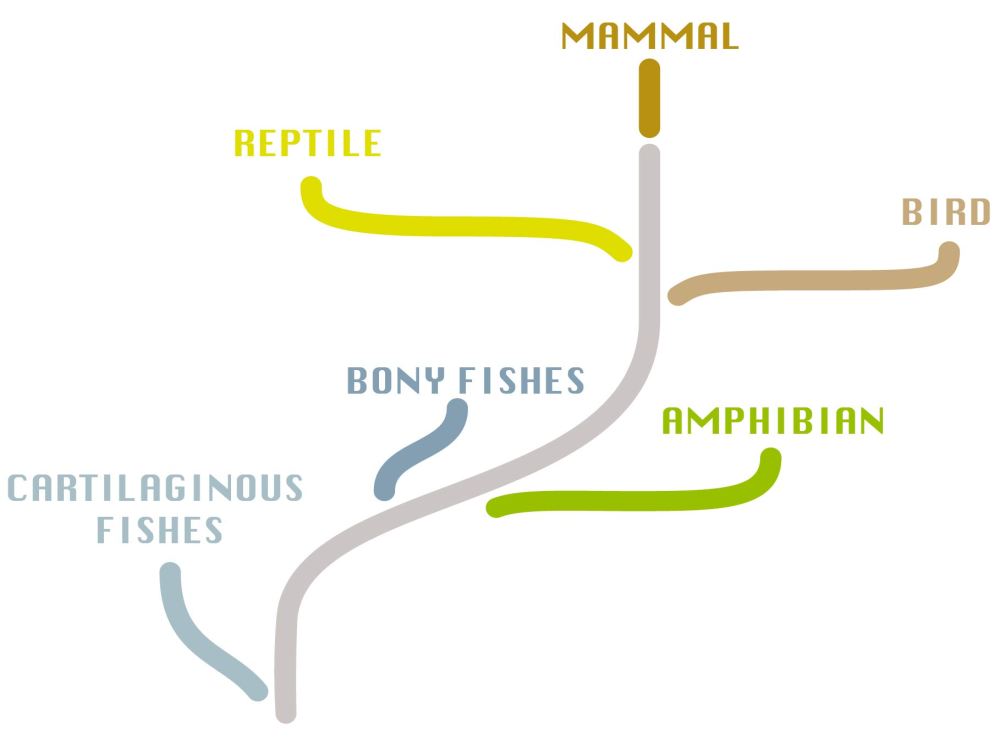 simpe_vert_tree_2-01